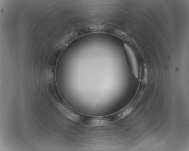 X0000078890614200611131231