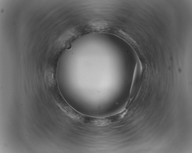 X0000078890615200611131231