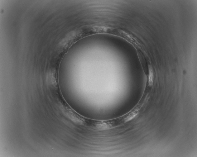 X0000078890616200611131231