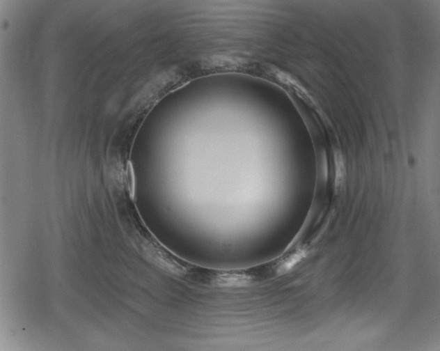 X0000078890617200611131231