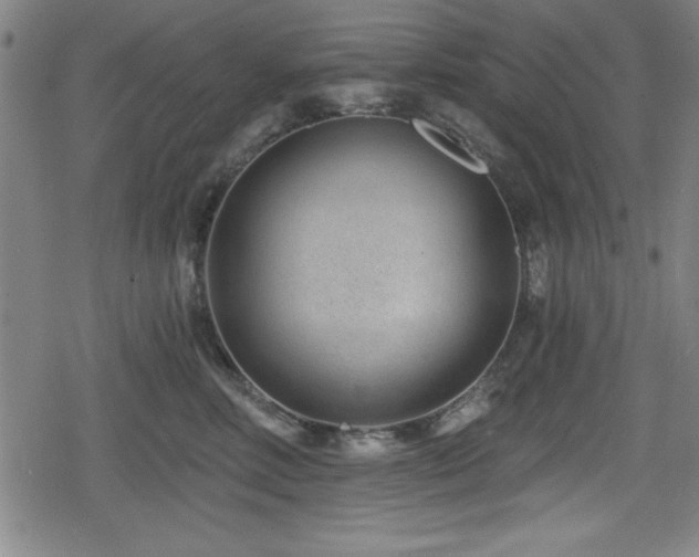 X0000078890618200611131231