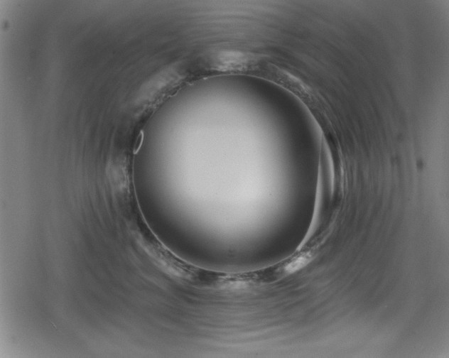 X0000078890620200611131231