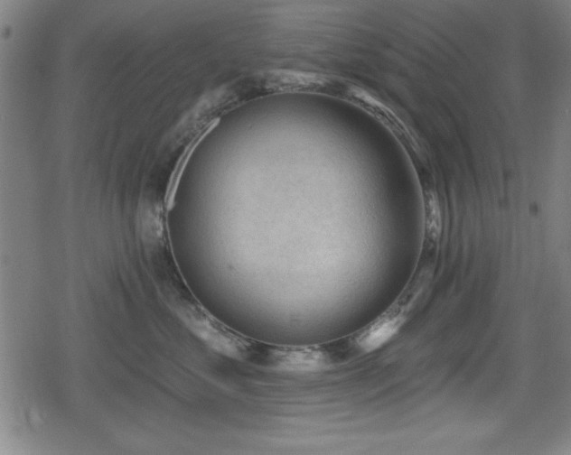 X0000078890621200611131231