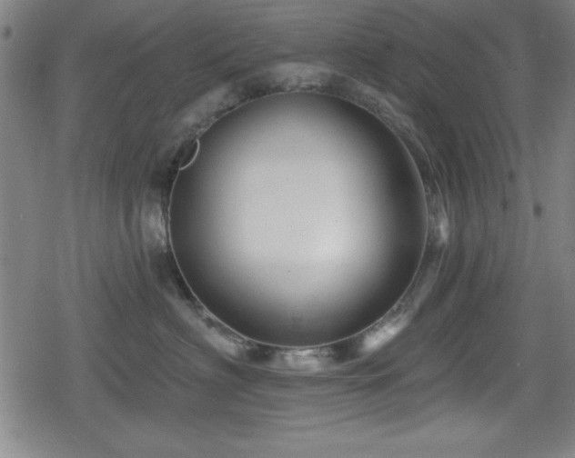 X0000078890622200611131231