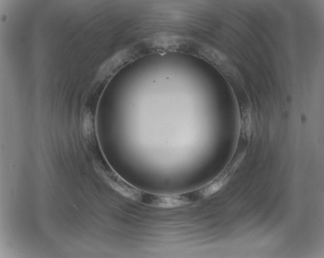 X0000078890623200611131231