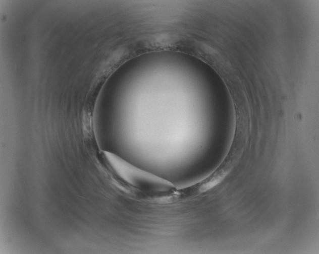 X0000078890624200611131231