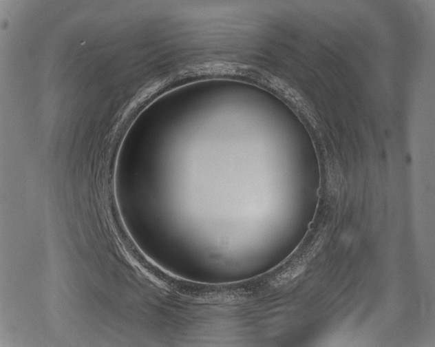 X0000078890625200611131230