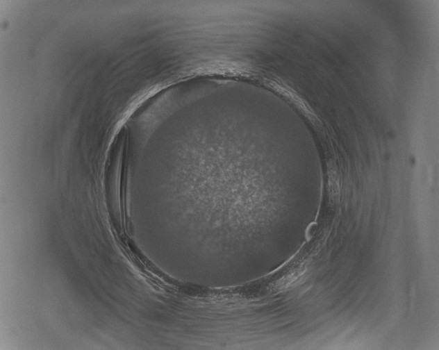 X0000078890626200611131230