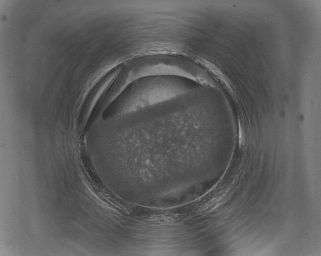 X0000078890627200611131230