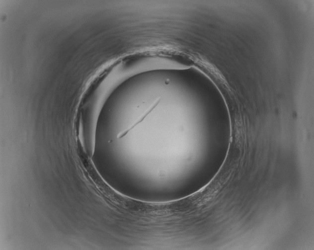 X0000078890628200611131230