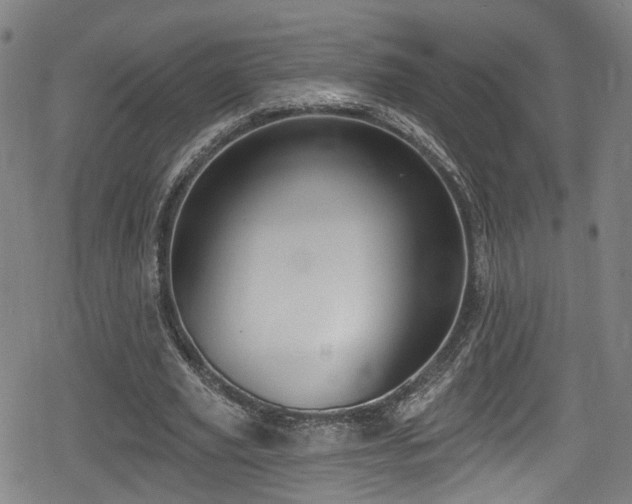 X0000078890629200611131231