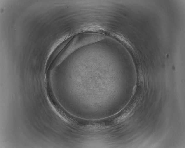 X0000078890630200611131231