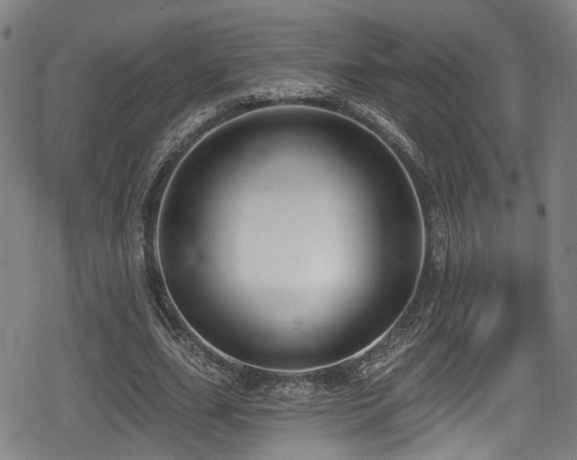 X0000078890631200611131231