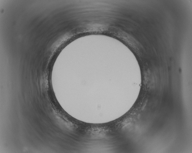 X0000078890632200611131231