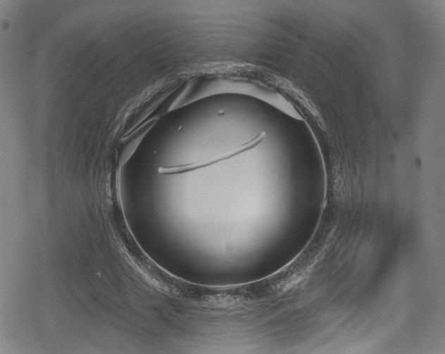 X0000078890633200611131231