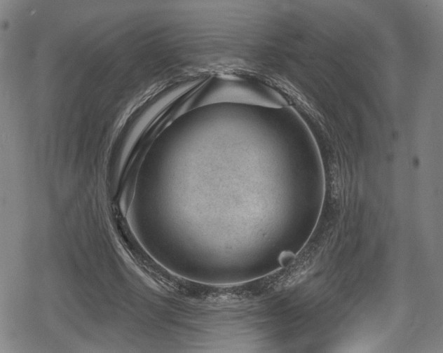 X0000078890634200611131231