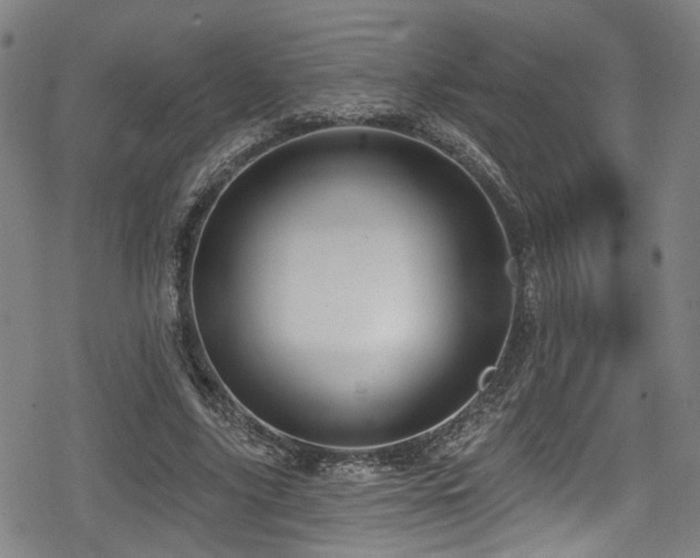 X0000078890635200611131231