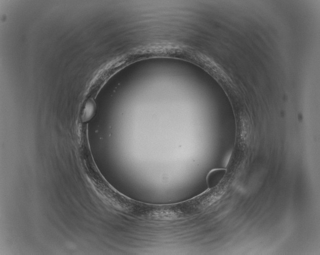 X0000078890636200611131231