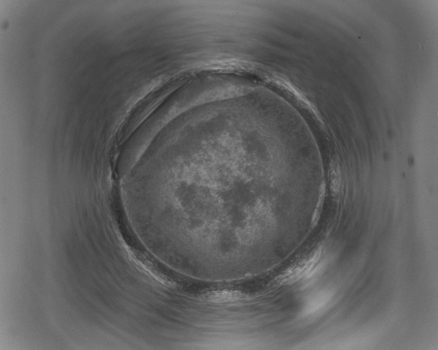 X0000078890637200611131231