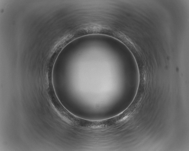 X0000078890638200611131231