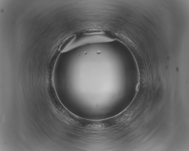 X0000078890639200611131231