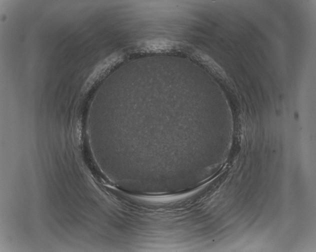 X0000078890640200611131231