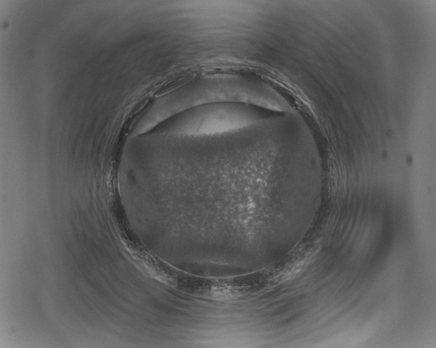 X0000078890641200611131231