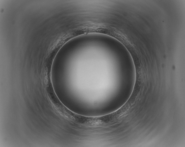 X0000078890642200611131231