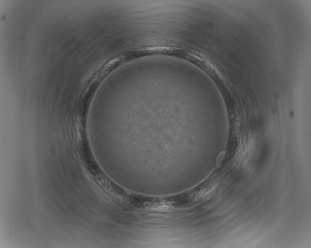 X0000078890643200611131231