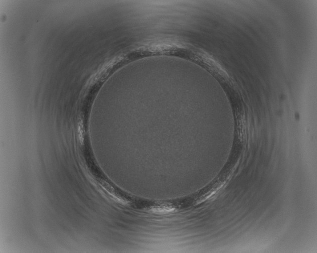 X0000078890644200611131231