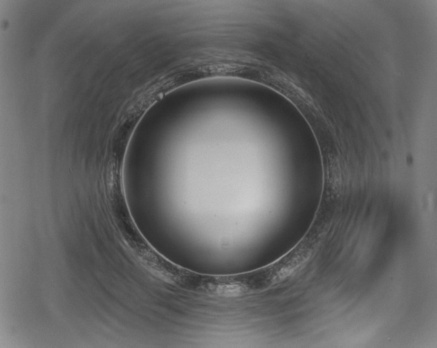 X0000078890645200611131231