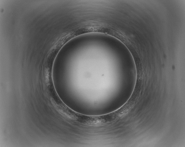 X0000078890646200611131231