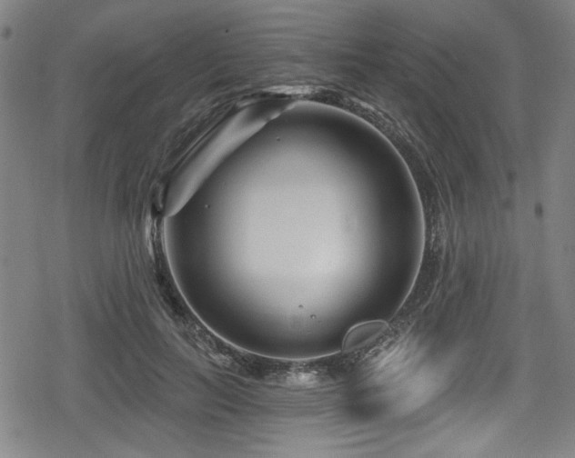 X0000078890647200611131231