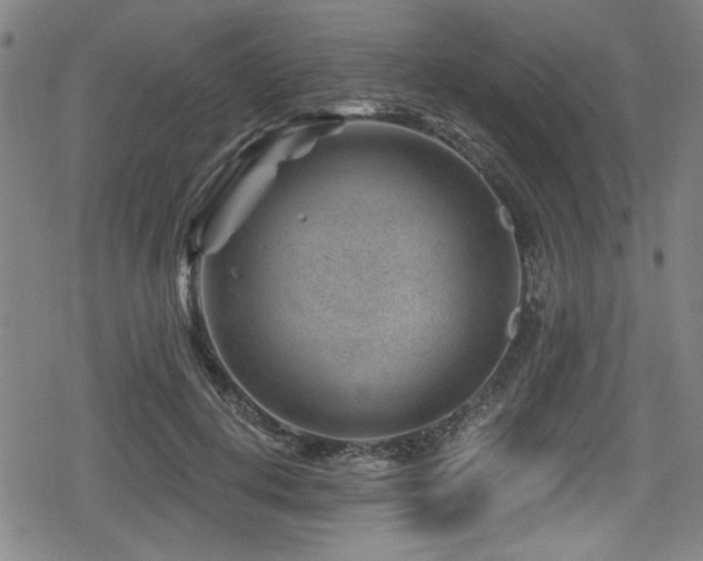 X0000078890648200611131231