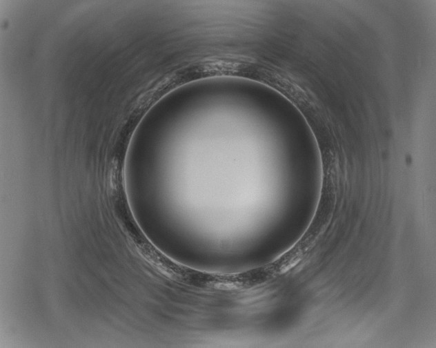 X0000078890649200611131231