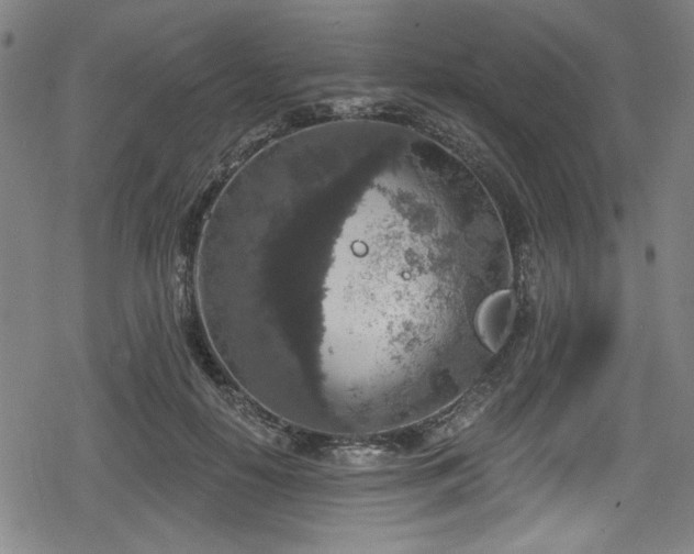 X0000078890650200611131231