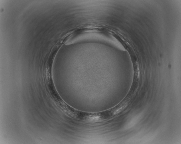 X0000078890651200611131231