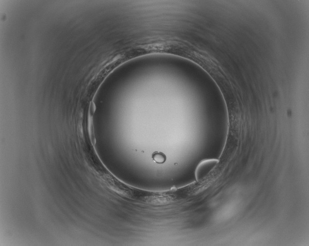 X0000078890652200611131231