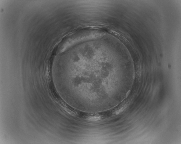 X0000078890653200611131231