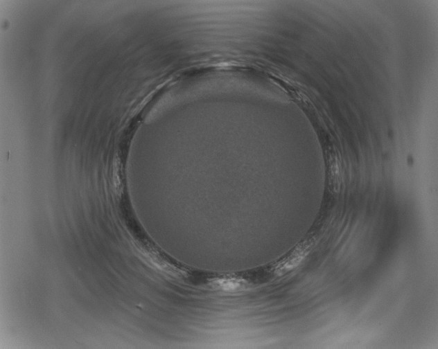 X0000078890654200611131231