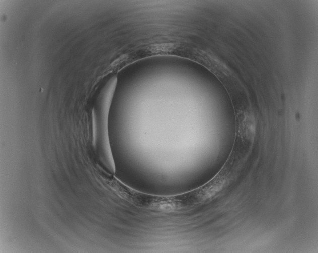 X0000078890655200611131231