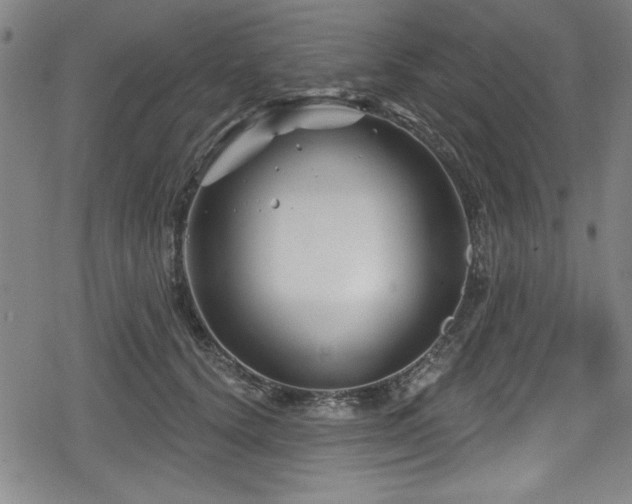 X0000078890656200611131231