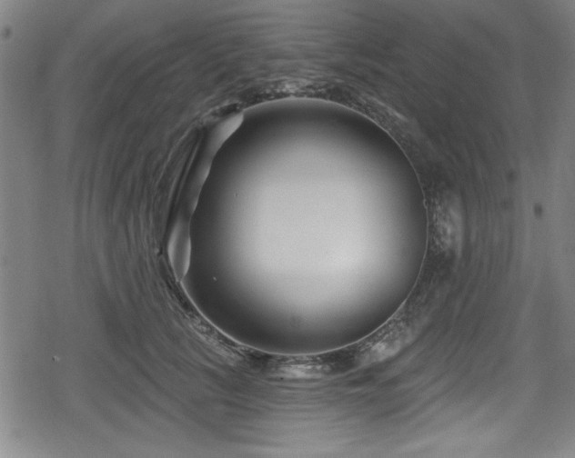 X0000078890657200611131231