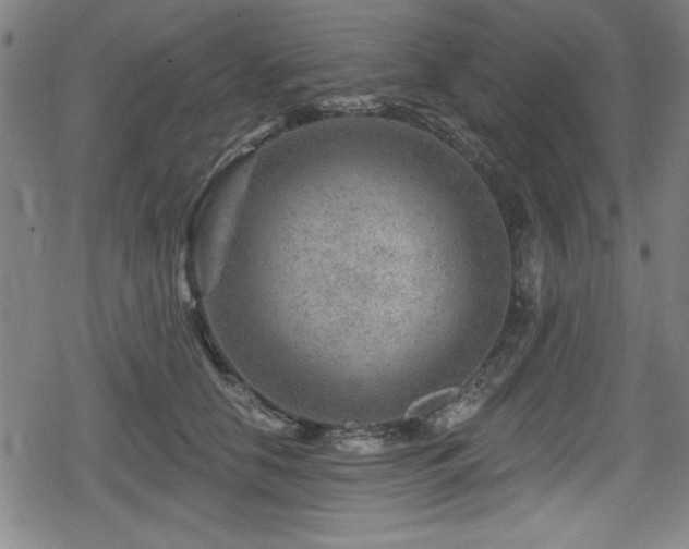 X0000078890658200611131231