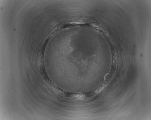 X0000078890659200611131231