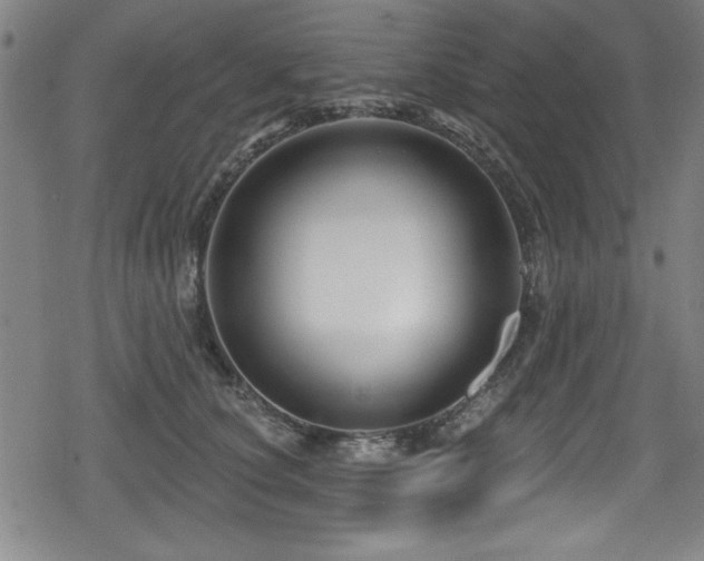 X0000078890660200611131231