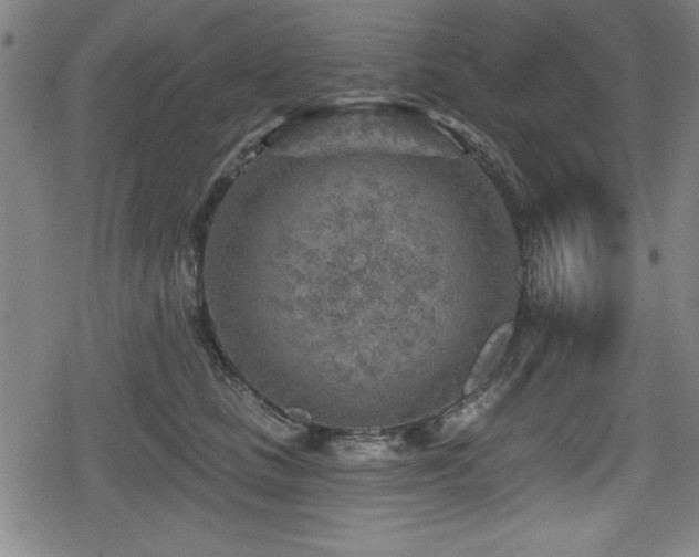 X0000078890661200611131231