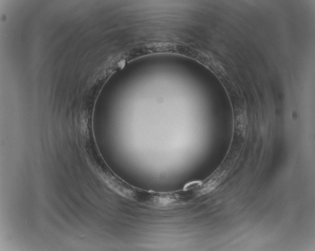 X0000078890662200611131231