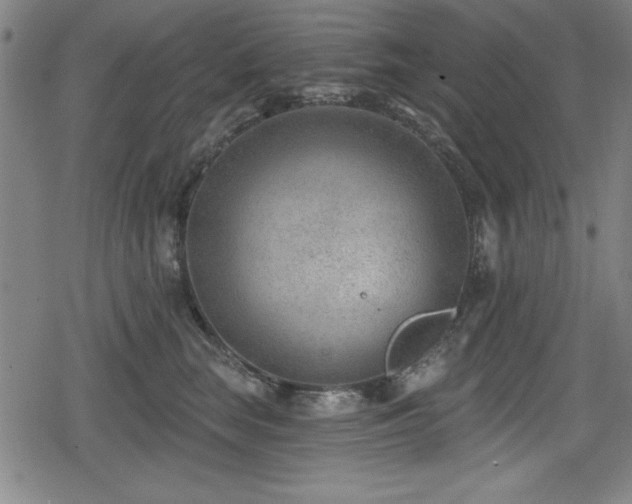 X0000078890663200611131231