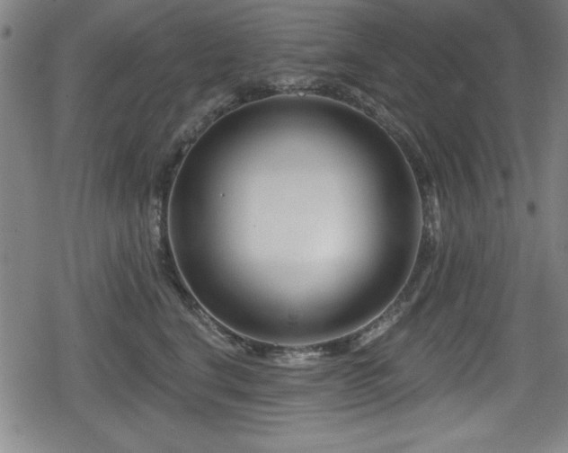 X0000078890664200611131231